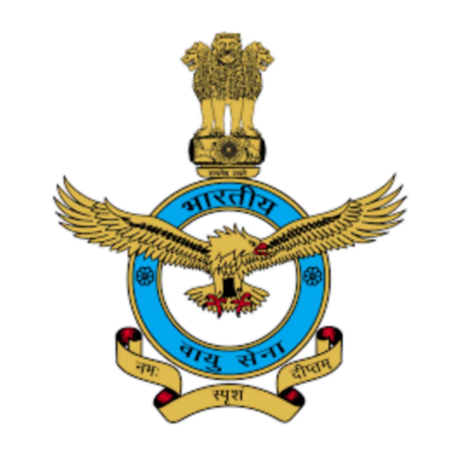 Indian Air Force Logo