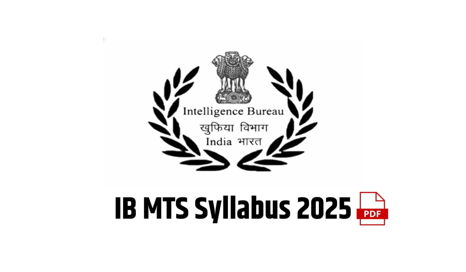 IB MTS Syllabus 2025 PDF