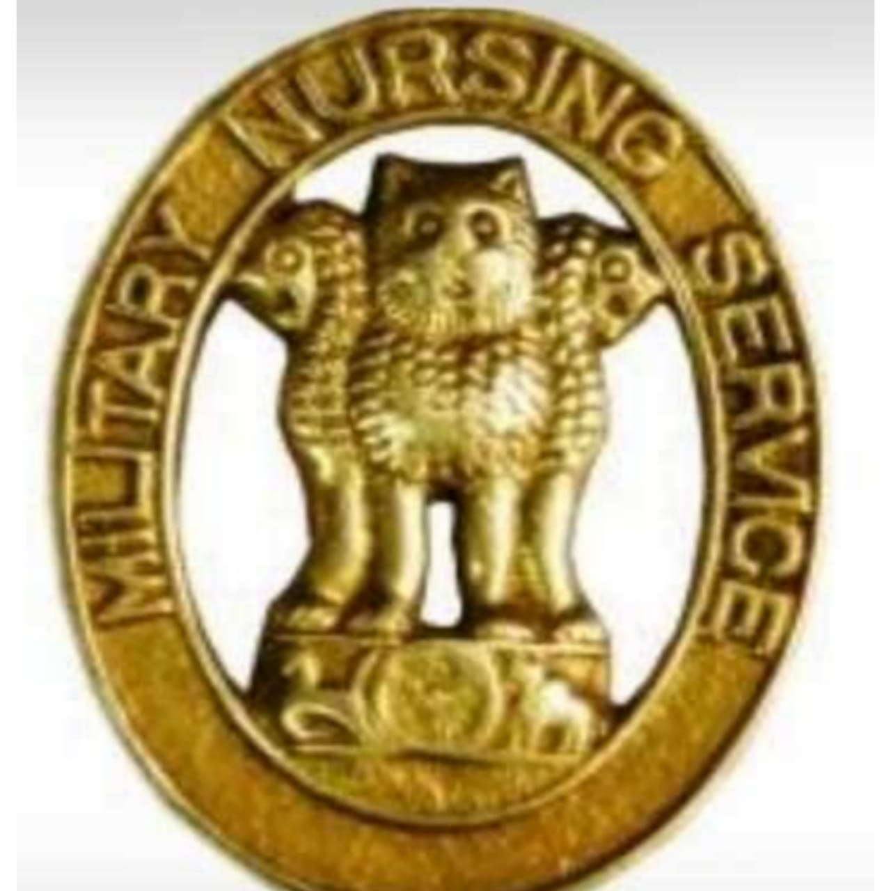 Military Nursing Service Logo 